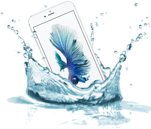 <iPhone 6s plus water damage service> <iPhone 6s plus water damage service Melbourne CBD> <iPhone 6s plus water damage services melbourne cbd>